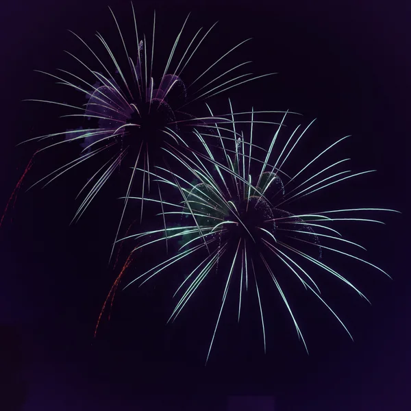 새로운 년 또는 독립 기념일 7 월 4 일 및 다른 축 하 불꽃놀이 — 스톡 사진