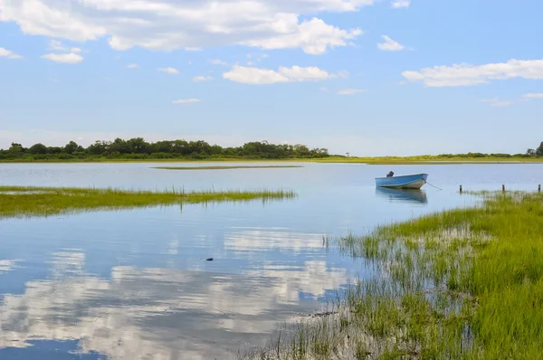 Blue boat in the backwaters Stock Photo