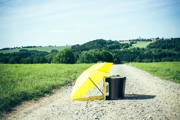 Melody of nature — Stock Photo, Image