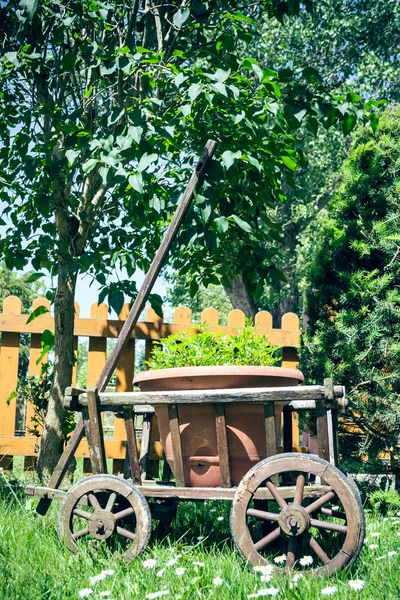 Hand cart with flower pot — Stock Photo, Image