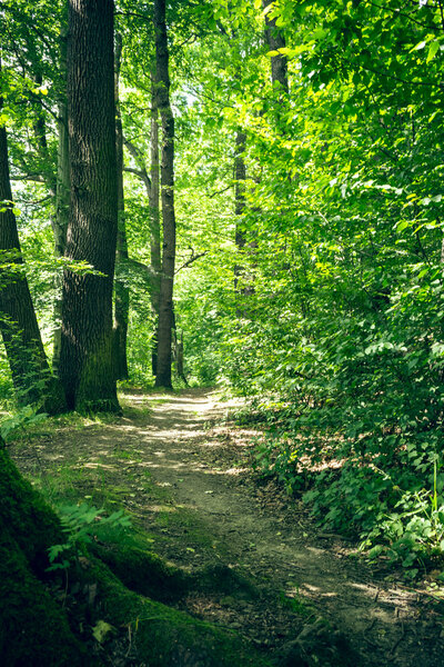 Чистая природа
