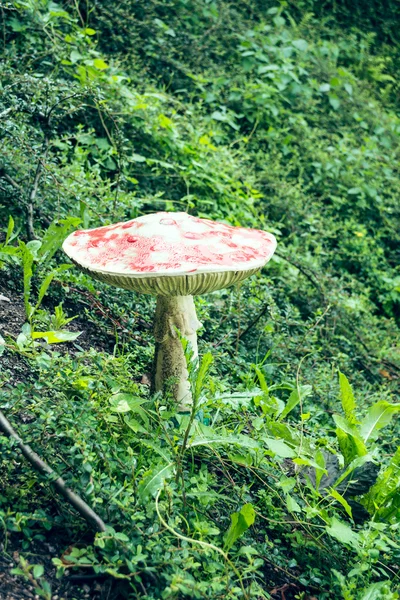 Toadstool Décoration — Photo
