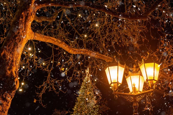 夜は雪が降る冬の街路灯 — ストック写真