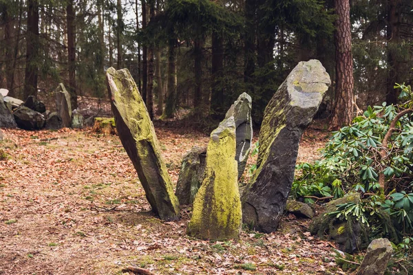 Peu Roches Mystérieuses Dans Une Forêt Printemps — Photo