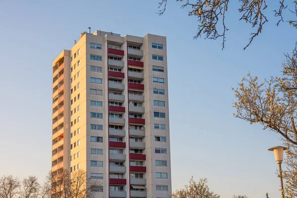 Harika mavi gökyüzüne bakan bir ağacı olan bir gökdelen.