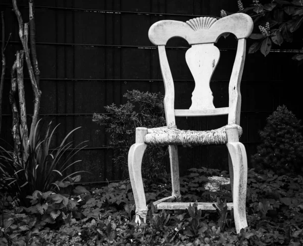 Una Vieja Silla Blanca Jardín Como Imagen Blanco Negro —  Fotos de Stock