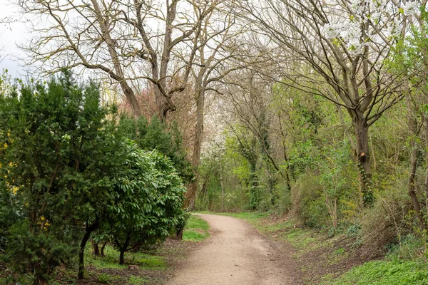 Way City Park Spring — Stock Photo, Image