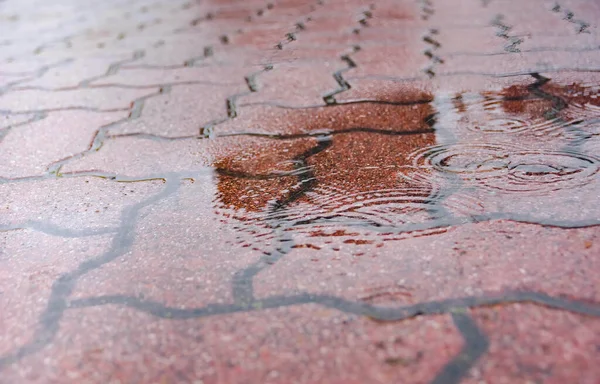 ทางเด นในสายฝนท สระน — ภาพถ่ายสต็อก