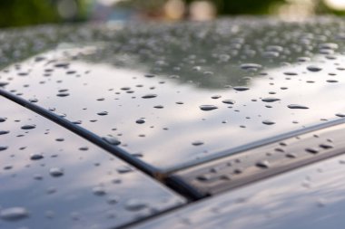 Seçici odak noktasında yağmur damlaları olan bir araba çatısı