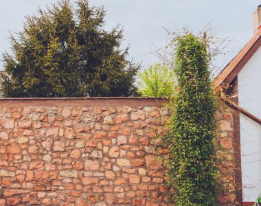 Önünde ağaç olan eski bir taş duvar.