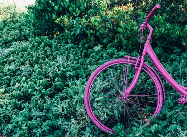 Ein Rosa Lackiertes Fahrrad Einer Hecke — Stockfoto