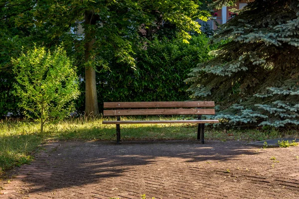 Wooden Bench City Park Summer — Stock Photo, Image
