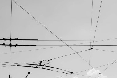 Siyah-beyaz demiryolu hattından elektrik hatları