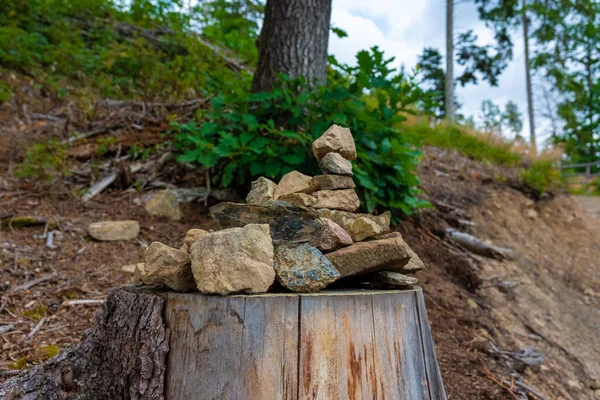 Stacked Stones Tree Trunk Forest Summer — Stock fotografie