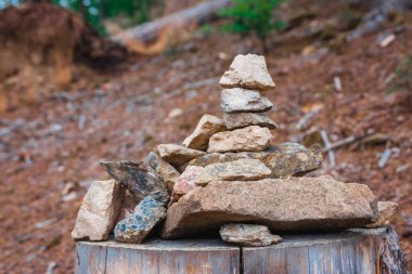 Yazın ormanda bir ağaç gövdesine taş istifledim.
