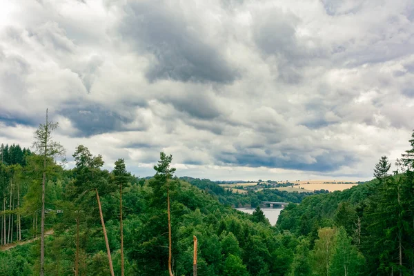 View Coniferous Forest Cloudy Skies Summer —  Fotos de Stock