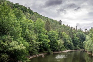 Yazın kozalaklı bir orman ve orman gölü.