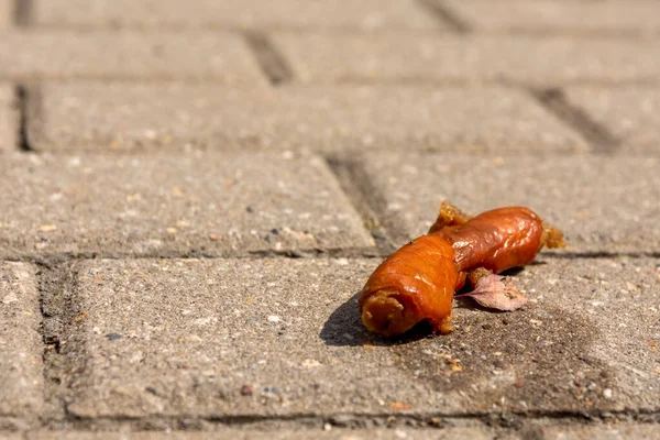 Sausage Thrown Away Sidewalk Selective Focus — Stok fotoğraf