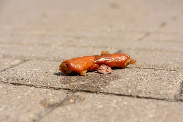 Sausage Thrown Away Sidewalk Selective Focus — Photo