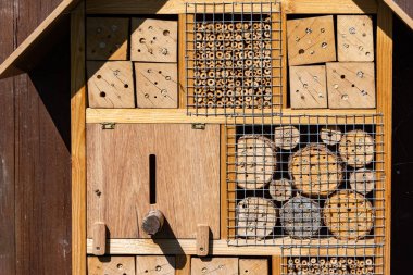 Yazın güneş ışığında bir böcek oteli