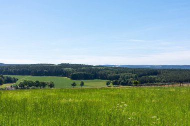 Yeşil çayır ve mavi gökyüzü olan yaz manzarası