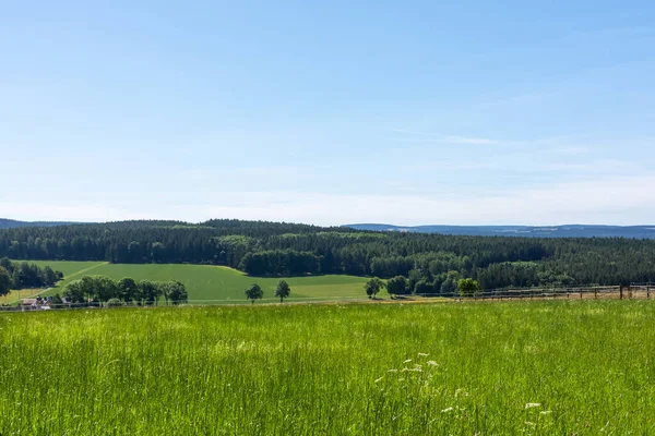 Summer Landscape Green Meadow Blue Sky Background — Stockfoto