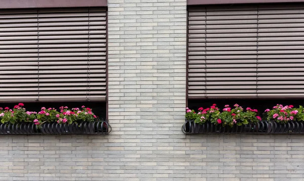 windows with closed shutters and flower boxes in the city