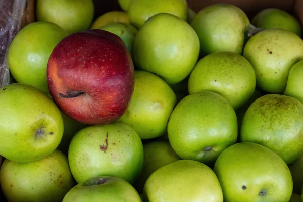 Single Red Apple Green Apples Fruit Market —  Fotos de Stock