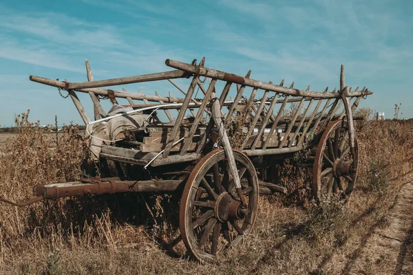 Old Wooden Horse Drawn Carriage Field Summer — Stok fotoğraf