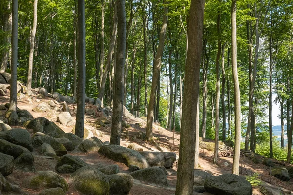 Rocks Forest Germany Summer — Foto Stock