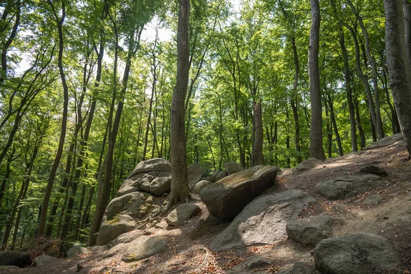 Rocks Forest Germany Summer — Foto Stock