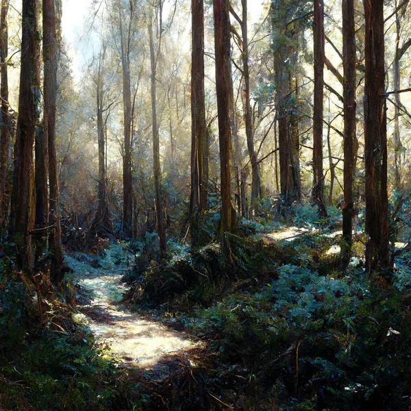 Illustrative Representation Path Forest Sunshine — 스톡 사진