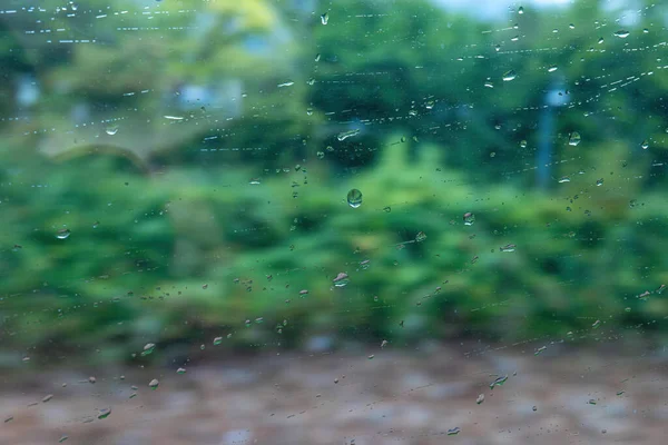 Rain Drops Window Nature Background — Zdjęcie stockowe
