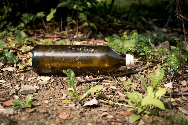 a brown bottle as waste in nature