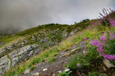 Krasnaya Polyana dağlarının güzel manzarası