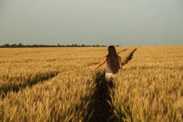 Dziewczyna z długimi włosami w złotym polu pszenicy — Zdjęcie stockowe