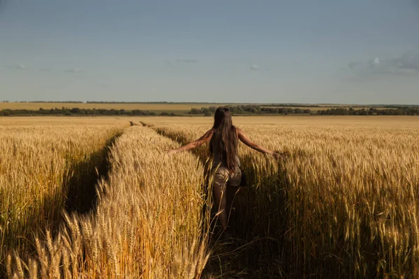 Дівчина з довгим волоссям на полі золотої пшениці — стокове фото