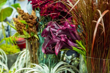 Siyah zambaklar vazoda duruyor.