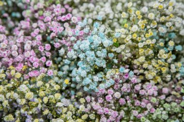 Renkli dekoratif çigila ile güzel bir arka plan.