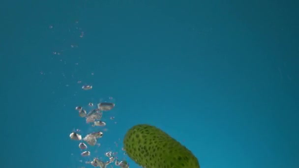 Langzame Beweging Verse Sappige Een Groene Komkommer Valt Het Water — Stockvideo