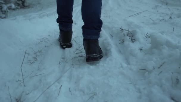 Сліди Сніговій Дорозі Прогулянка Жінкою Зимовому Взутті Через Ліс Глибокому — стокове відео