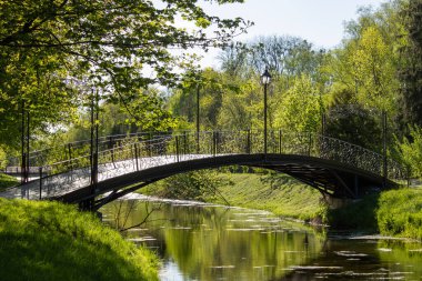 Güneşli bir günde ilkbaharda resim gibi bir doğa. Dövülmüş demir köprü ve kabartma şekilli detaylarla fenerler. Yeşil, taze çimenler. Nehrin mavi suyuna yansıyan sulu yapraklar. Parkta panoramik güzel manzara.