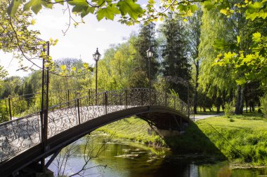 Güneşli bir günde ilkbaharda resim gibi bir doğa. Dövülmüş demir köprü ve kabartma şekilli detaylarla fenerler. Yeşil, taze çimenler. Nehrin mavi suyuna yansıyan sulu yapraklar. Parkta panoramik güzel manzara.
