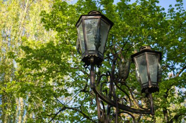 Parkland 'da bir bahar gününde yakın plan dövülmüş fener. Black Metal 'den demir sokak lambası ve ince detaylar. Mavi gökyüzüne ve yeşil ağaçlara karşı güzel bir sokak lambası. Çelik sokak lambası..