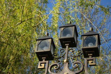 Parkland 'da bir bahar gününde yakın plan dövülmüş fener. Black Metal 'den demir sokak lambası ve ince detaylar. Mavi gökyüzüne ve yeşil ağaçlara karşı güzel bir sokak lambası. Çelik sokak lambası..