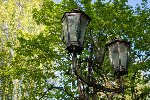 Närbild Smidd Lykta Vårdag Parkeringen Järn Gatlykta Från Svart Metall — Stockfoto