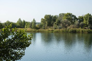 Yaz yeşili kırsal nehir manzarası. Nehir manzarası. 