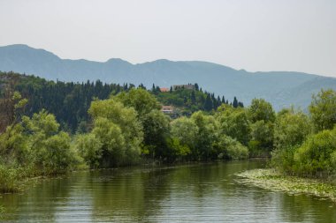 Resimli nehirdeki yaz manzarası. Güzel, yeşil ve bereketli bir sahil. Suyun yakınındaki ağaçlar ve bitkiler. Doğal parkın manzarası. Arka planda dağlar ve mavi gökyüzü.