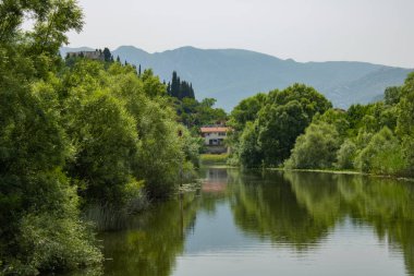 Resimli nehirdeki yaz manzarası. Güzel, yeşil ve bereketli bir sahil. Suyun yakınındaki ağaçlar ve bitkiler. Doğal parkın manzarası. Arka planda dağlar ve mavi gökyüzü.