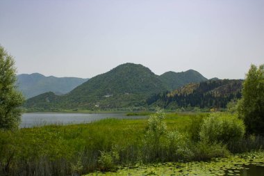 Resimli nehirdeki yaz manzarası. Güzel, yeşil ve bereketli bir sahil. Suyun yakınındaki ağaçlar ve bitkiler. Doğal parkın manzarası. Arka planda dağlar ve mavi gökyüzü.